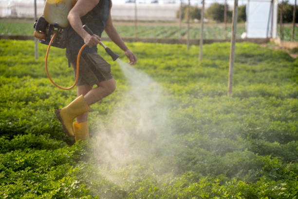 Best Local Pest Control Services  in Hardwick, GA