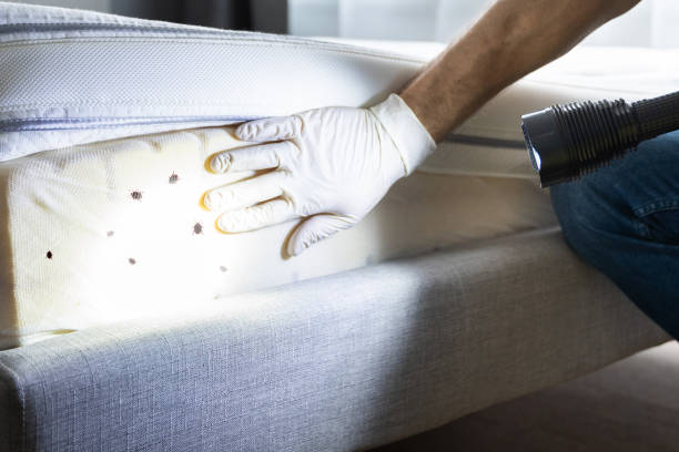 Pest Control Cost in Hardwick, GA