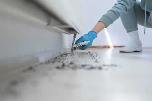 Best Flea Control Services  in Hardwick, GA
