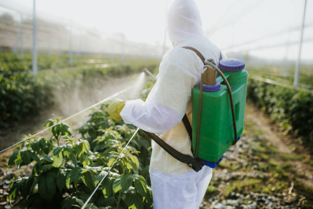 Best Commercial Pest Control Services  in Hardwick, GA